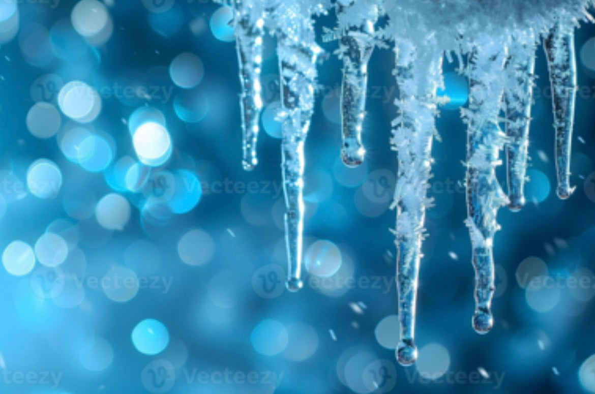 Nos produits surgelés