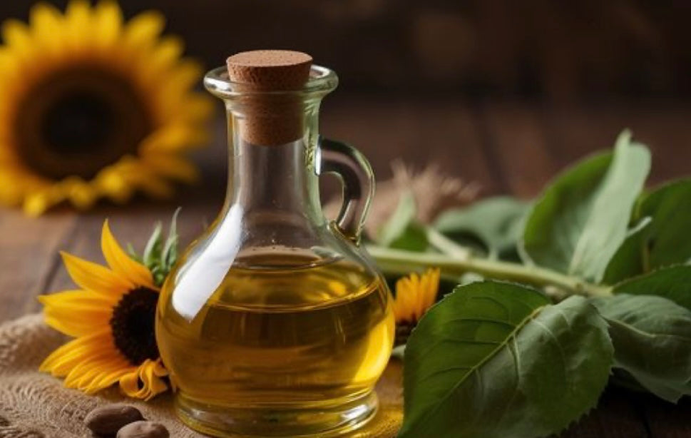 Huile de tournesol 10L