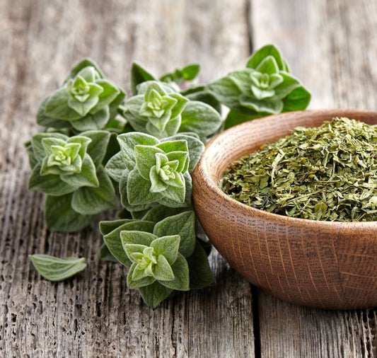 Origan 500g